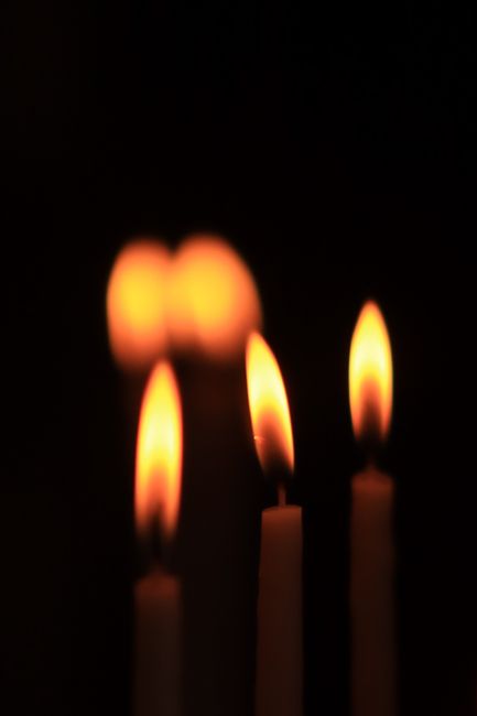 Warm Velvet Gallery Image
